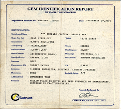 GIM Analysis Report